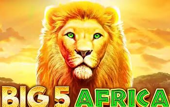 Big 5 Africa